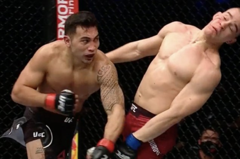Srpski borac nokautiran u UFC-u. Havajćanin ga je prebio u prvoj rundi